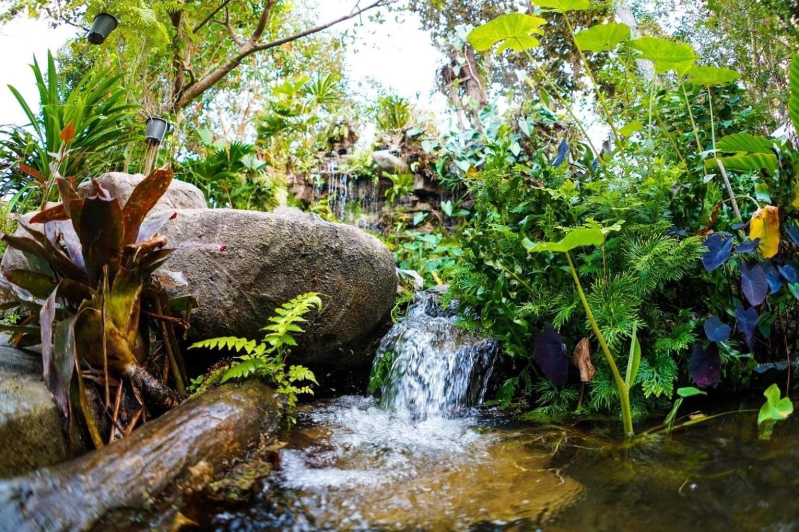 San Kamphaeng Baan Pingkan Wellness Resort מראה חיצוני תמונה