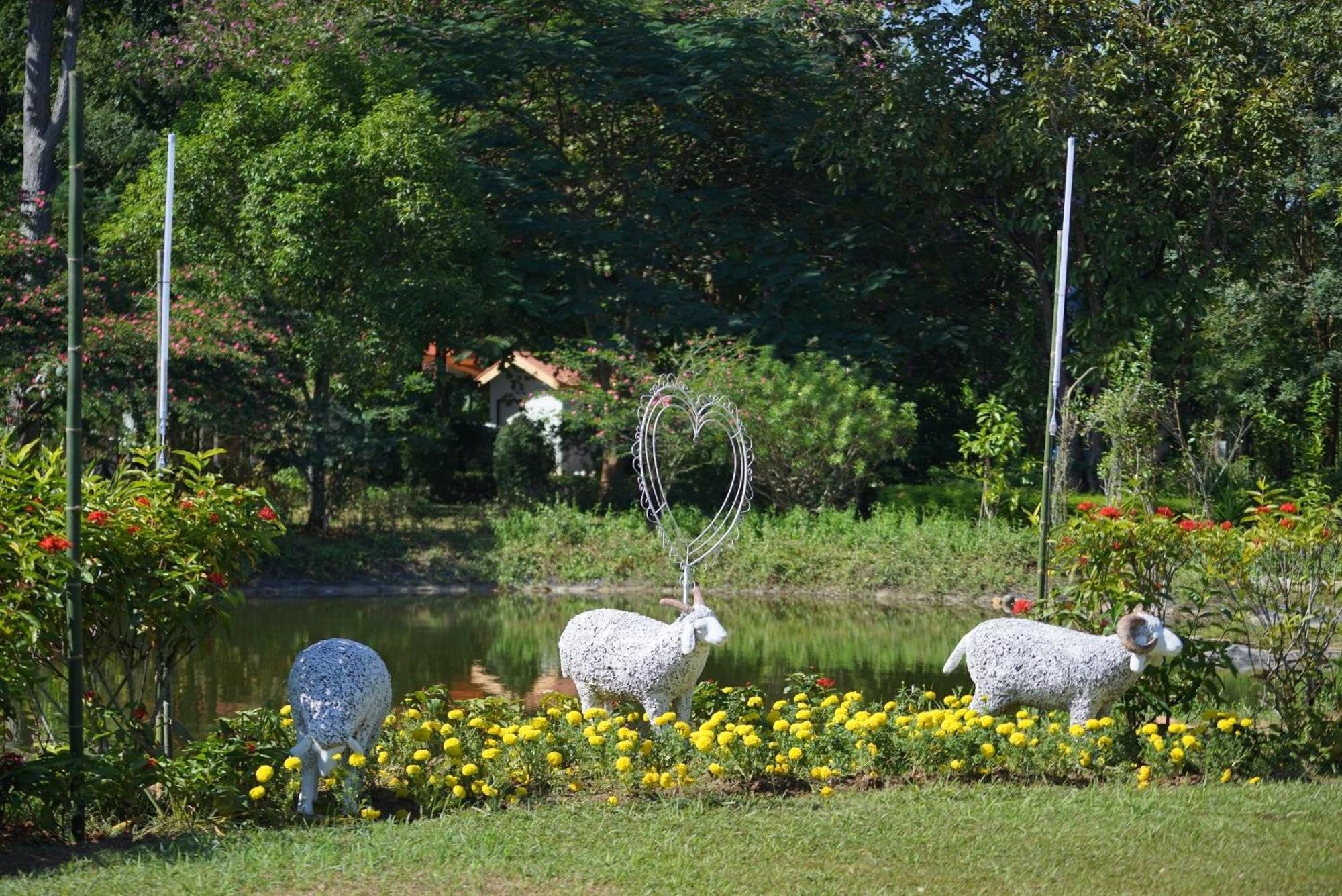 San Kamphaeng Baan Pingkan Wellness Resort מראה חיצוני תמונה